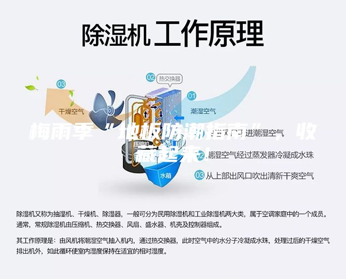 梅雨季“地板防潮指南”，收藏起来！