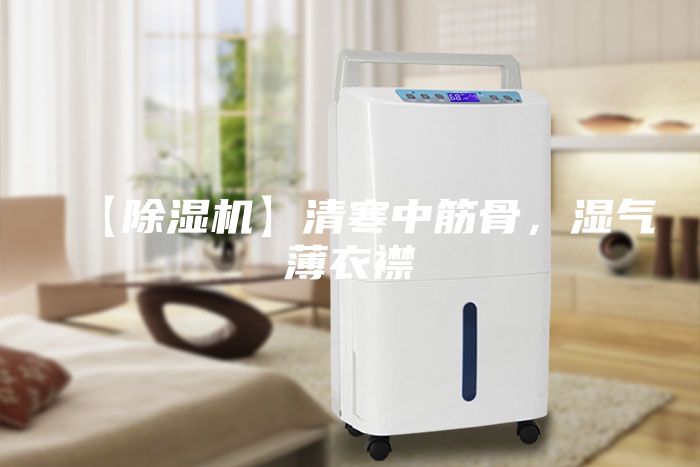 【除湿机】清寒中筋骨，湿气薄衣襟
