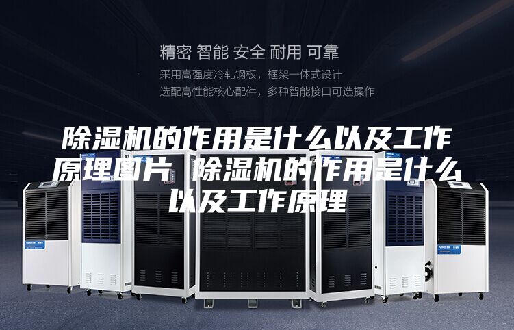 除湿机的作用是什么以及工作原理图片 除湿机的作用是什么以及工作原理
