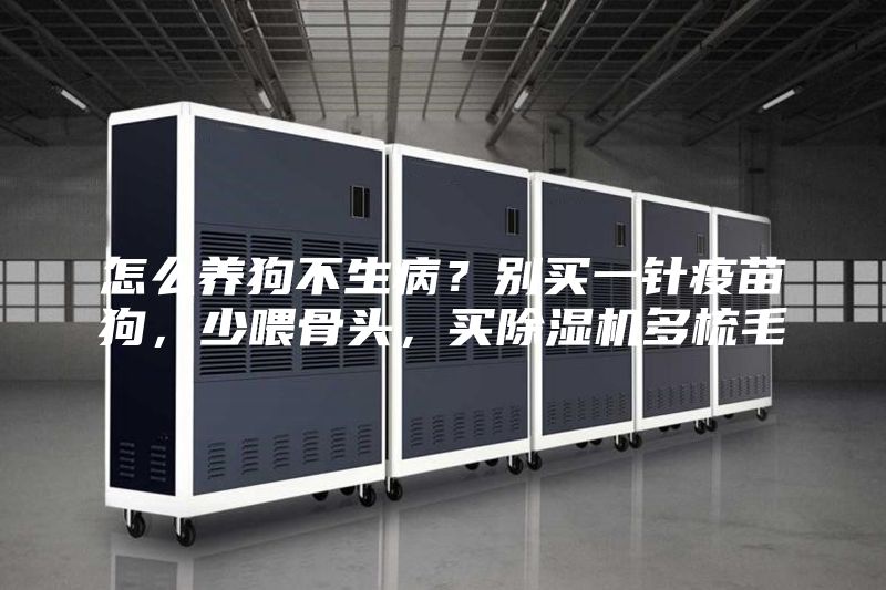 怎么养狗不生病？别买一针疫苗狗，少喂骨头，买除湿机多梳毛
