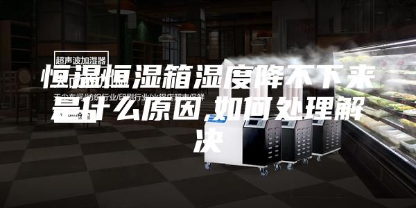 恒温恒湿箱湿度降不下来是什么原因,如何处理解决