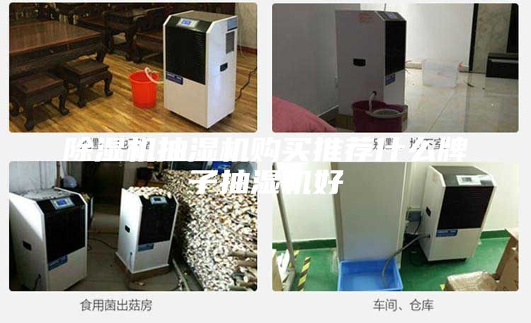 除湿机抽湿机购买推荐什么牌子抽湿机好