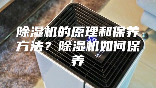除湿机的原理和保养方法？除湿机如何保养