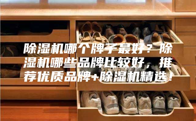 除湿机哪个牌子最好？除湿机哪些品牌比较好，推荐优质品牌+除湿机精选！