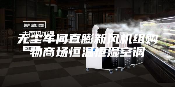 无尘车间直膨新风机组购物商场恒温恒湿空调