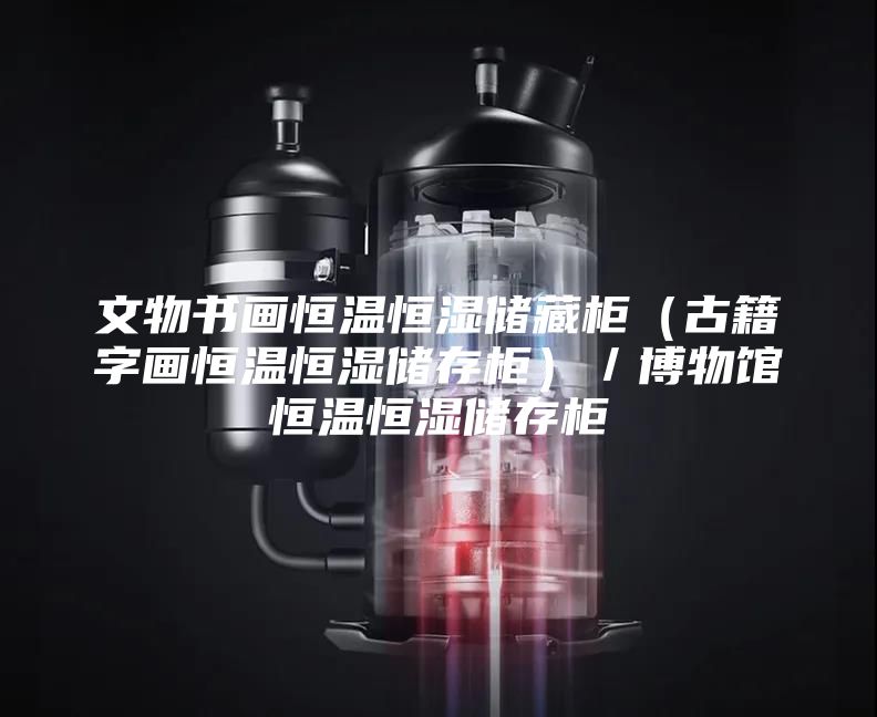 文物书画恒温恒湿储藏柜（古籍字画恒温恒湿储存柜）／博物馆恒温恒湿储存柜