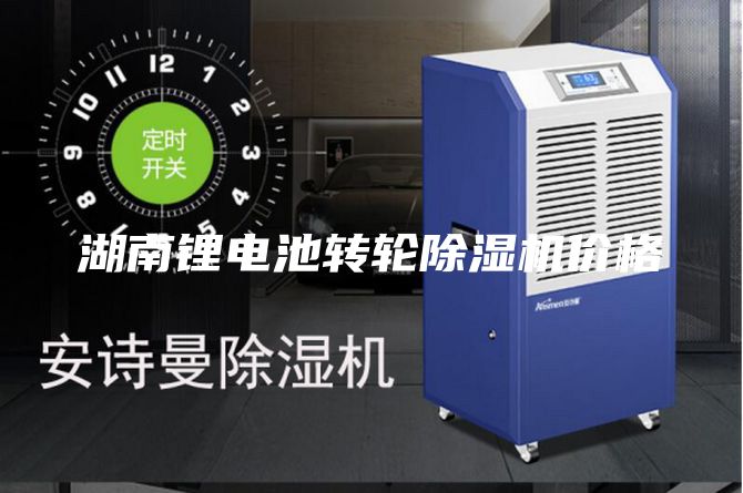 湖南锂电池转轮除湿机价格