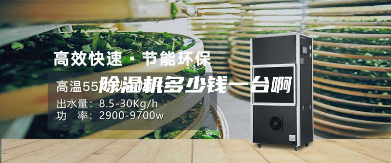 除湿机多少钱一台啊