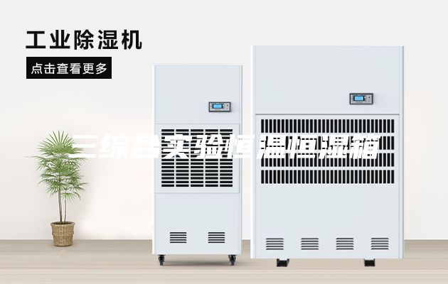 三综合实验恒温恒湿箱