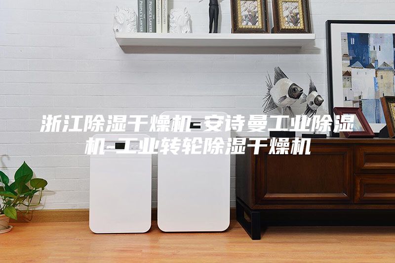 浙江除湿干燥机-安诗曼工业除湿机-工业转轮除湿干燥机