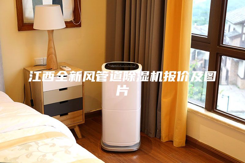 江西全新风管道除湿机报价及图片