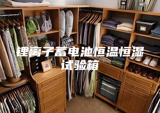 锂离子蓄电池恒温恒湿试验箱