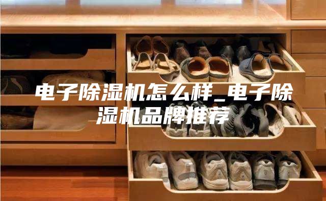电子除湿机怎么样_电子除湿机品牌推荐