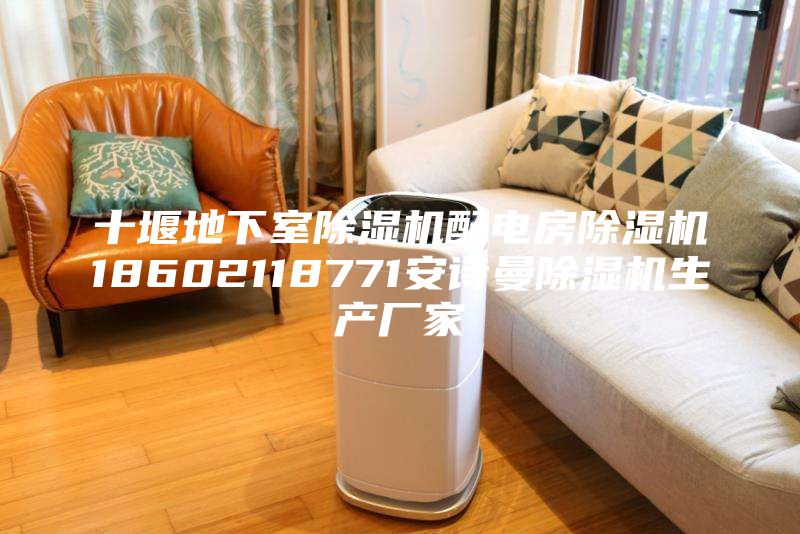 十堰地下室除湿机配电房除湿机18602118771安诗曼除湿机生产厂家