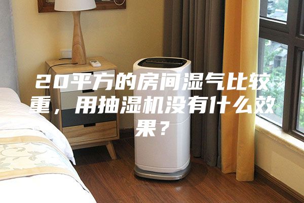 20平方的房间湿气比较重，用抽湿机没有什么效果？