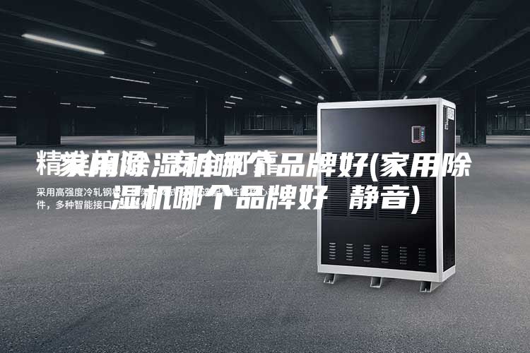 家用除湿机哪个品牌好(家用除湿机哪个品牌好 静音)