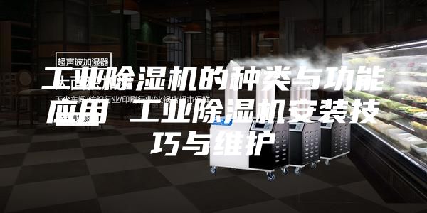 工业除湿机的种类与功能应用 工业除湿机安装技巧与维护