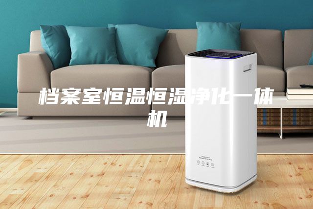 档案室恒温恒湿净化一体机