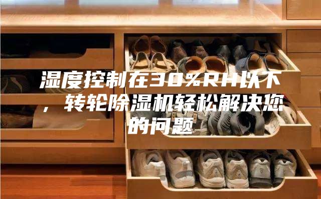 湿度控制在30%RH以下，转轮除湿机轻松解决您的问题