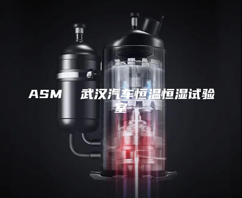 ASM  武汉汽车恒温恒湿试验室