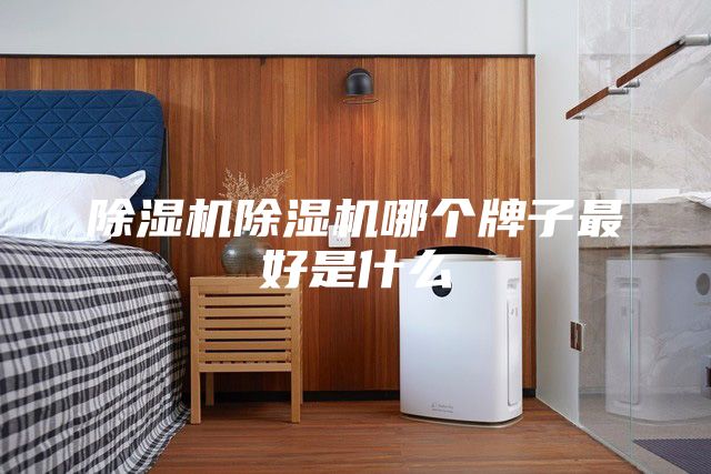 除湿机除湿机哪个牌子最好是什么
