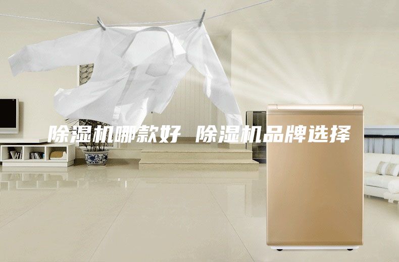 除湿机哪款好 除湿机品牌选择