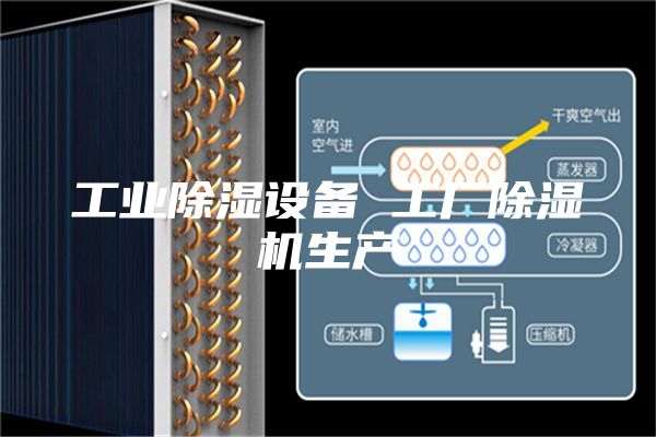 工业除湿设备 工厂除湿机生产