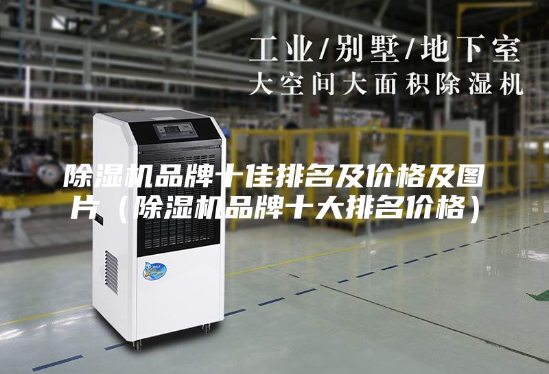 除湿机品牌十佳排名及价格及图片（除湿机品牌十大排名价格）