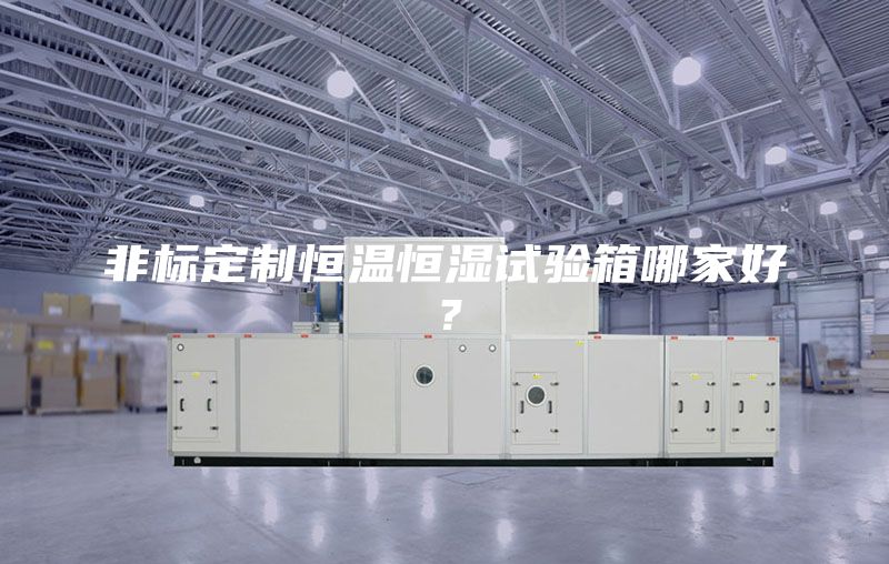 非标定制恒温恒湿试验箱哪家好？