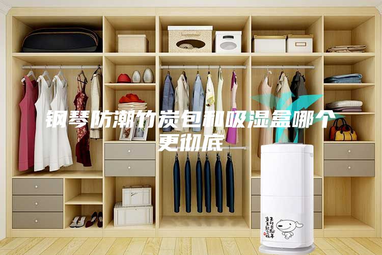 钢琴防潮竹炭包和吸湿盒哪个更彻底