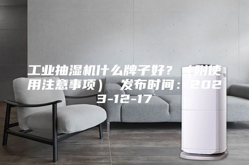 工业抽湿机什么牌子好？（附使用注意事项） 发布时间：2023-12-17