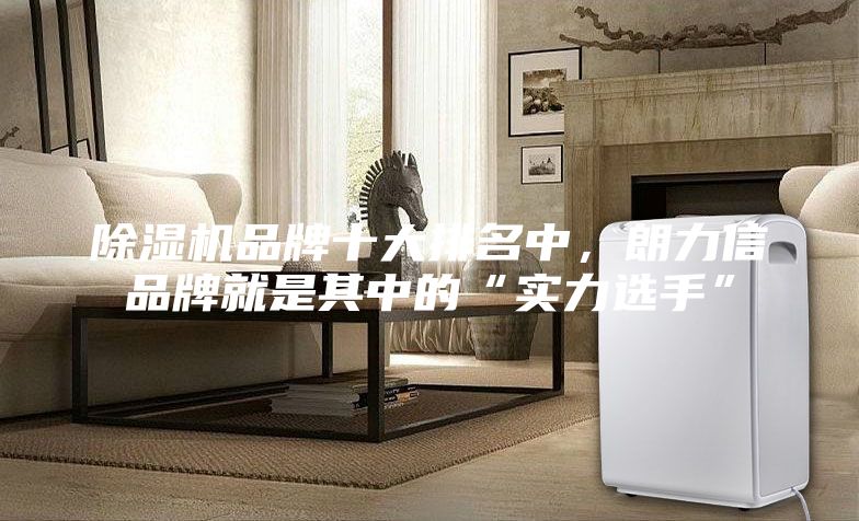 除湿机品牌十大排名中，朗力信品牌就是其中的“实力选手”