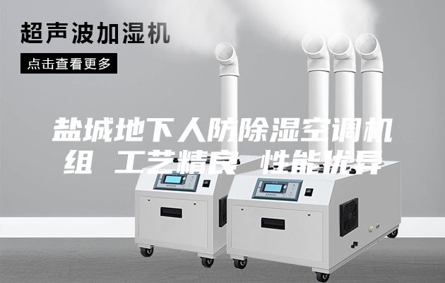 盐城地下人防除湿空调机组 工艺精良 性能优异