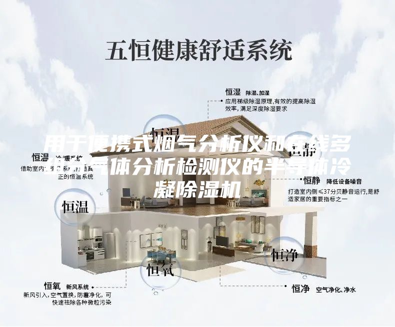 用于便携式烟气分析仪和在线多组分气体分析检测仪的半导体冷凝除湿机