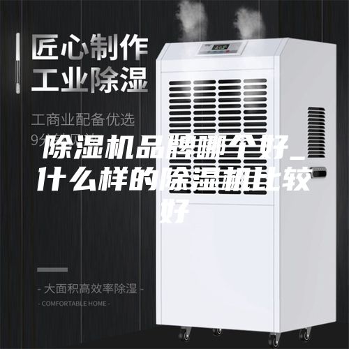 除湿机品牌哪个好_什么样的除湿机比较好