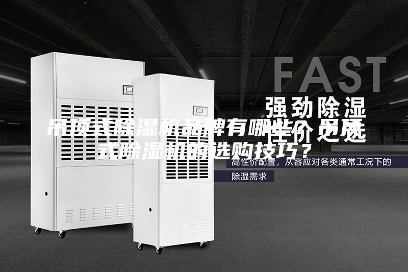 吊顶式除湿机品牌有哪些？吊顶式除湿机的选购技巧？