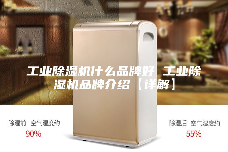 工业除湿机什么品牌好 工业除湿机品牌介绍【详解】