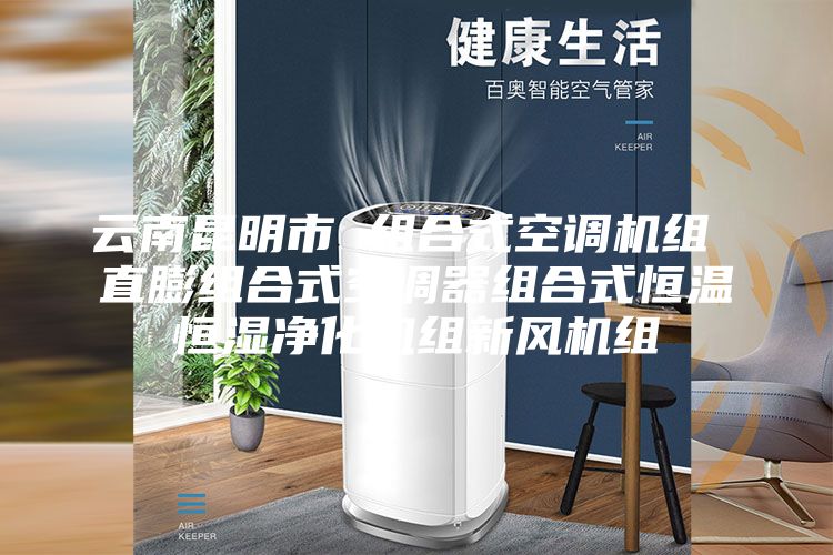 云南昆明市 组合式空调机组 直膨组合式空调器组合式恒温恒湿净化机组新风机组
