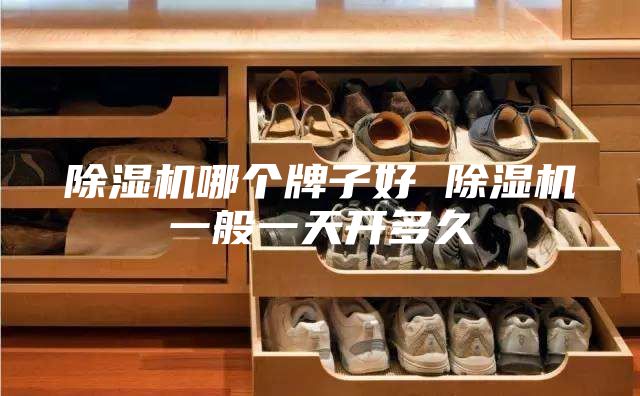 除湿机哪个牌子好 除湿机一般一天开多久