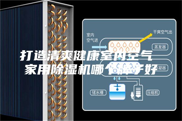 打造清爽健康室内空气 家用除湿机哪个牌子好