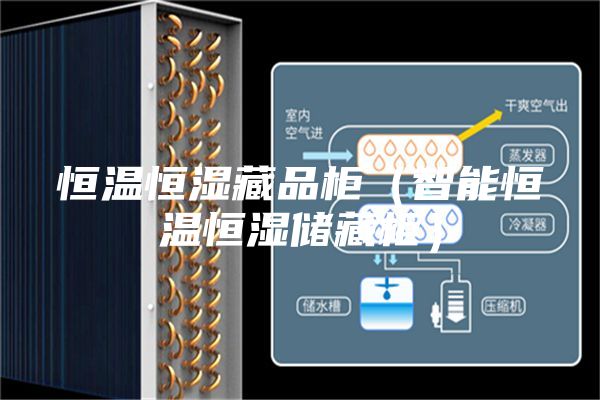 恒温恒湿藏品柜（智能恒温恒湿储藏柜）