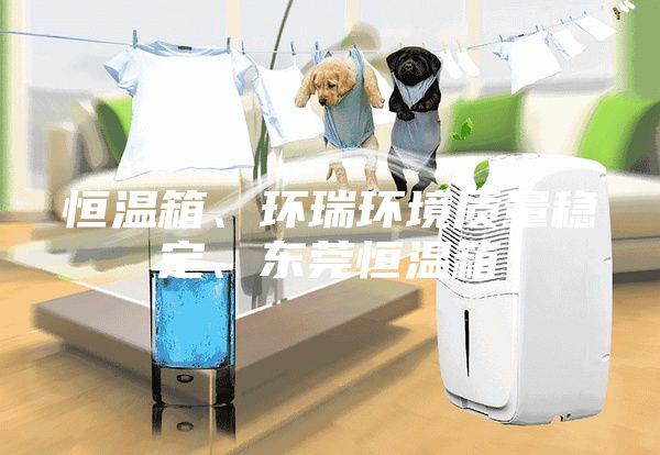 恒温箱、环瑞环境质量稳定、东莞恒温箱