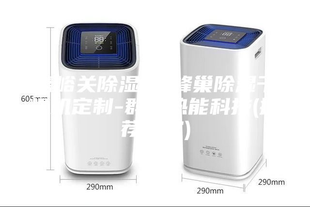 嘉峪关除湿机-蜂巢除湿干燥机定制-群英热能科技(推荐商家)