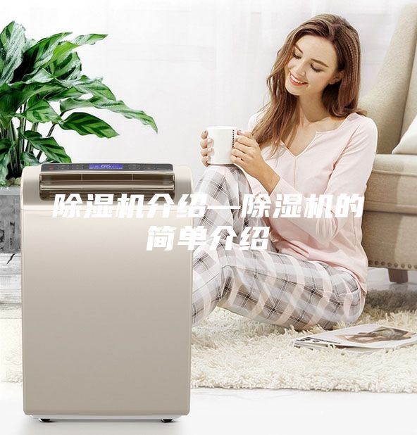 除湿机介绍—除湿机的简单介绍