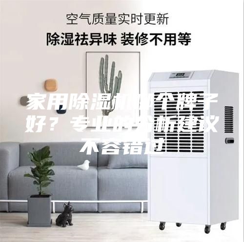 家用除湿机哪个牌子好？专业的分析建议不容错过