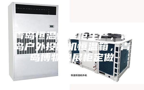 青岛恒温恒湿柜生产，青岛户外投影机恒温箱，青岛博物馆展柜定做