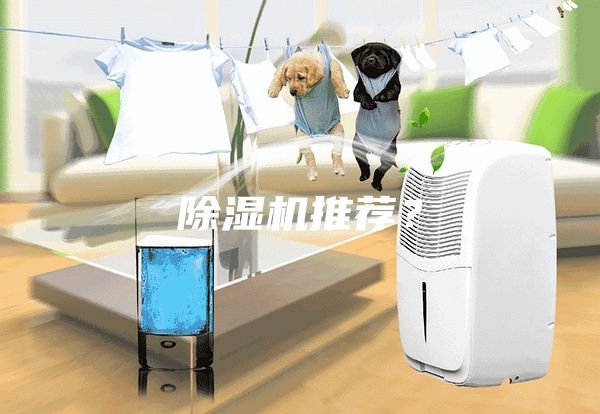 除湿机推荐？