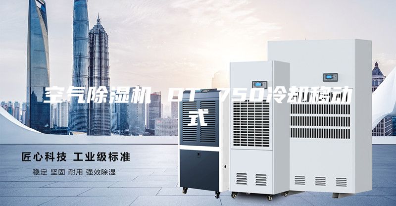 空气除湿机 DT 750冷却移动式