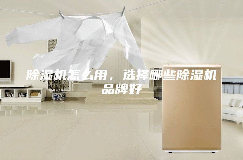 除湿机怎么用，选择哪些除湿机品牌好