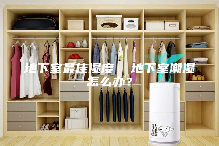 地下室最佳湿度  地下室潮湿怎么办？